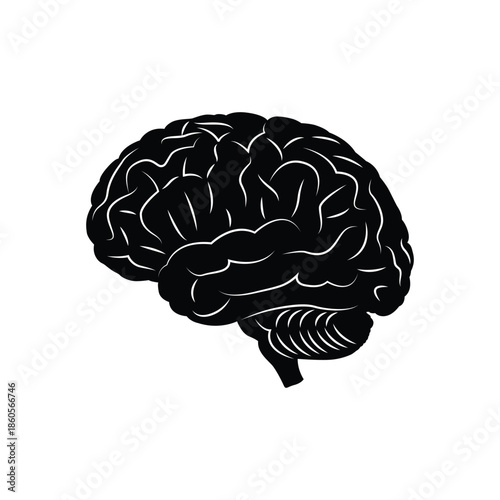 Human Brain Silhouette Icon
