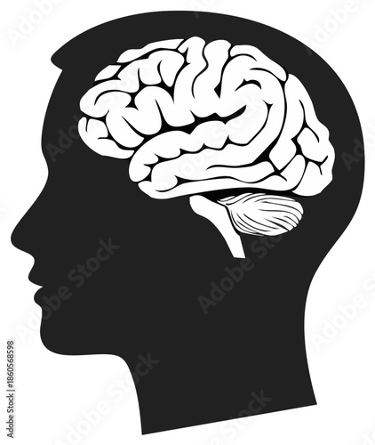 Human Brain Silhouette Vector Graphic Inside Head Shape Depicting Intelligence, Cognition, and Memory