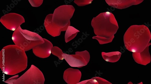 Red rose petals gently falling against a dark black background, creating a romantic and elegant visual.