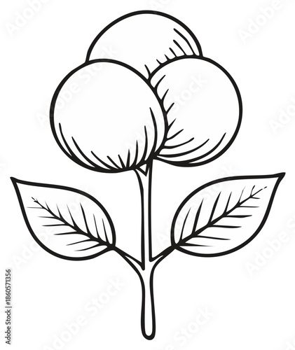 Outline illustration of a flower with three round buds and three leaves