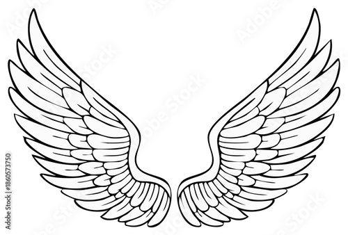 Elegant Angel Wings Symbol Spread Out in a Graceful V Shape