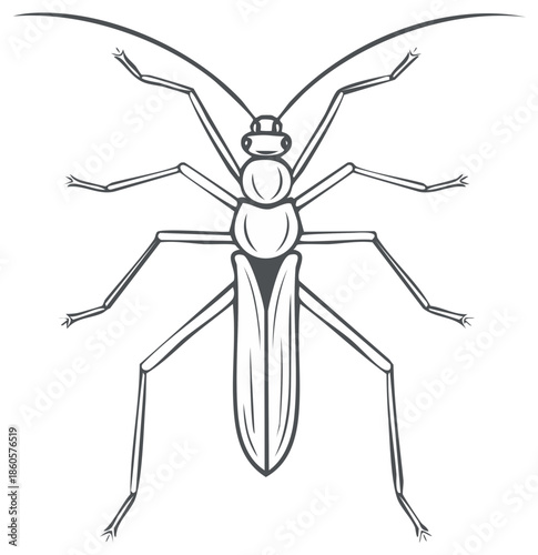 Line Art of Water Scorpion Insect: Detailed Vector Illustration with Long Appendages and Defined Segments