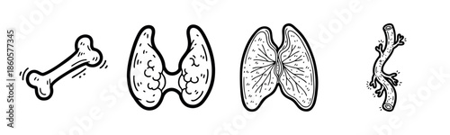 Hand-drawn bone lungs and branch illustrations in black and white