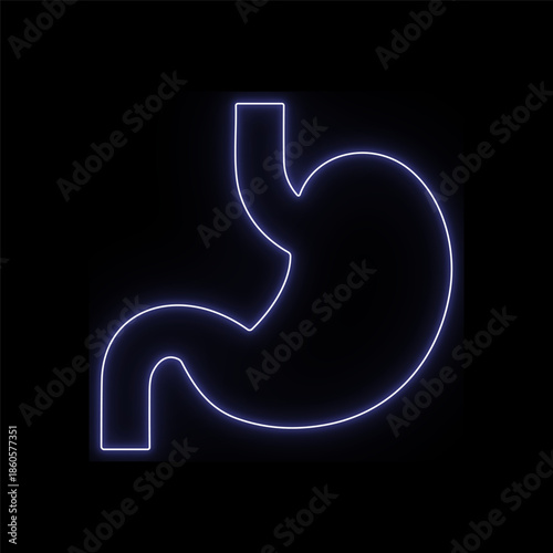 Illuminated stomach outline