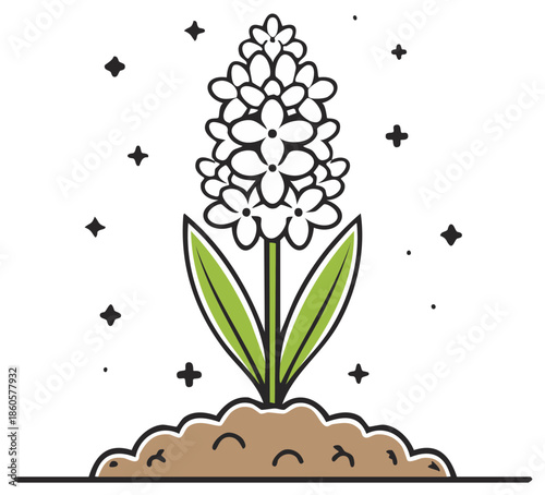 Whimsical hand drawn hyacinth flower blooming from soil with sparkling stars