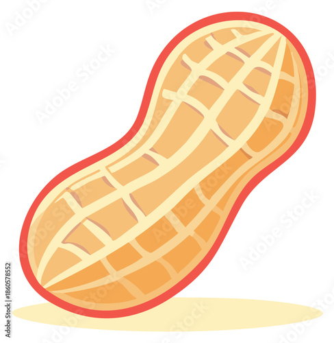 Stylized Peanut Pod Illustration Isolated Design Element Healthy Snack