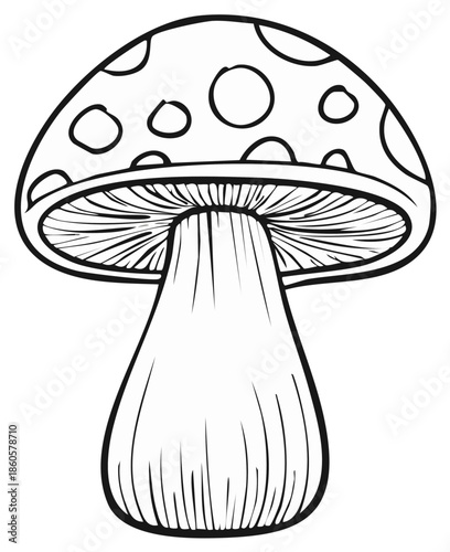 Hand drawn illustration of a toadstool mushroom in black and white, featuring a dotted cap and detailed gills.
