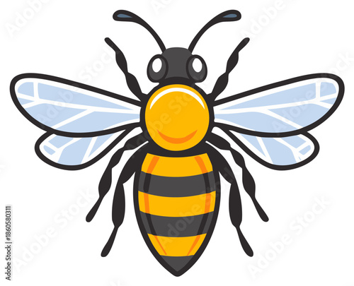 Cartoon honeybee with black and yellow stripes isolated on white