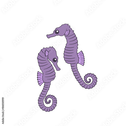Doodle sea horse couple clipart hand drawn vector illustration. Cute ink line drawing fish design