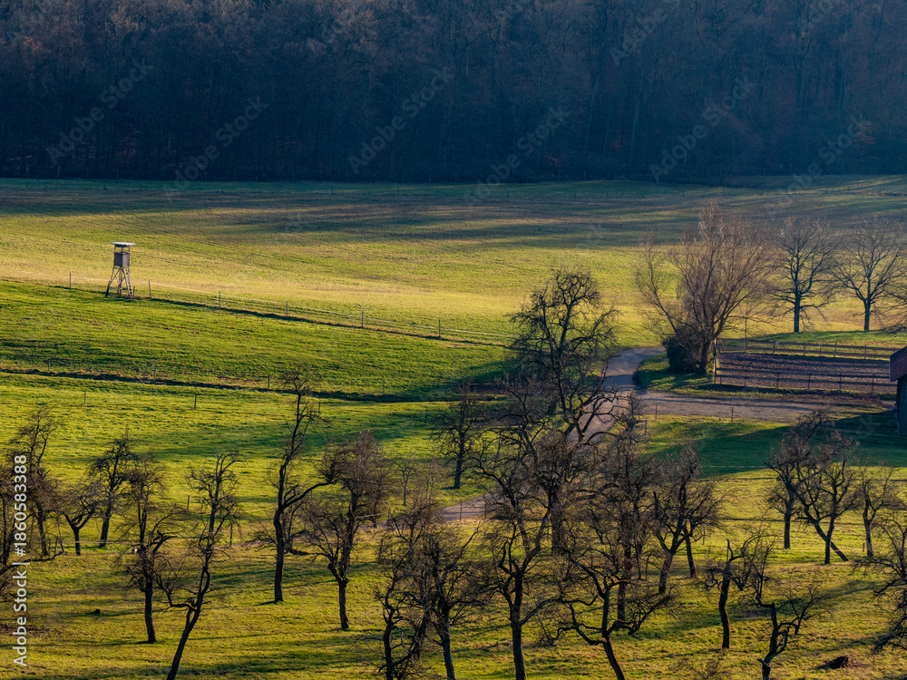 Obraz premium Hoch und Jägersitz im Feld
