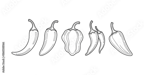 Outline drawings of various peppers: chili, bell, jalapeno