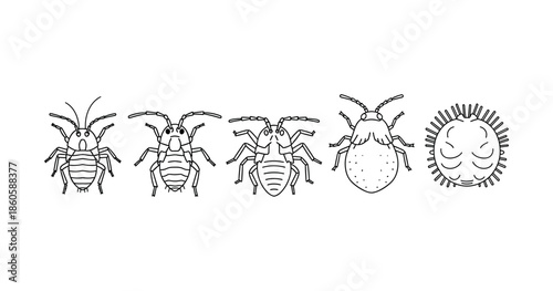 (Adobe Illustrator Artwork)