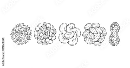 Sketch of mixed nuts: cashews, almonds, peanuts, pistachios in black and white