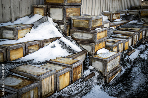 Fotografie Shackleton's Hut, Cape Royds, Antarctica