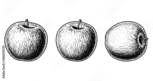 (Adobe Illustrator Artwork)