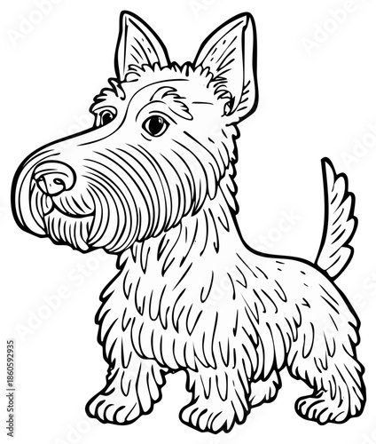 Cartoon scottish terrier dog illustration for coloring book or print design
