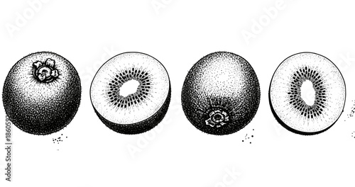 Detailed stipple illustration of whole and sliced kiwifruits in black and white