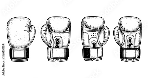 Vintage boxing gloves illustration - set of four detailed sketches