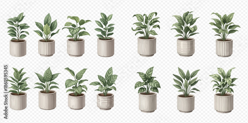 Collection of various potted houseplants with green leaves, perfect for interior decoration and home gardening.