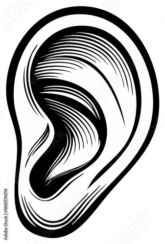 Stylized Black and White Line Art Illustration of a Human Ear with Dynamic Hatching