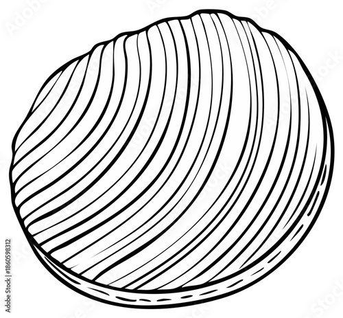 Black and white line art illustration of a ribbed clam shell perfect for design