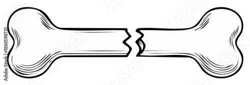 Broken bone graphic illustration. Cracked bone isolated on a white background. Bone fracture concept.
