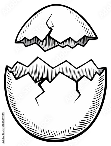 Cracked Eggshell Illustration, Hatching, New Beginnings, Broken Egg Shell with Textured Line Art in Black and White