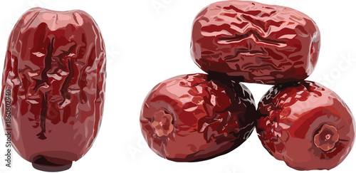 Dried dates fruit vector illustration set featuring realistic brown jujube dates with detailed texture isolated on white background for food design use