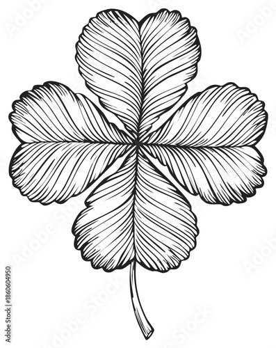 Detailed line art of a four leaf clover showing intricate natural vein patterns symbolizing luck and nature
