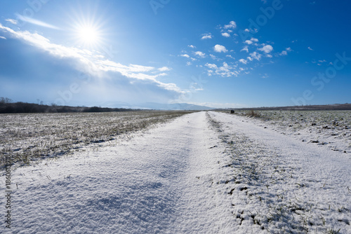 Sunny winter landscape with a snow-covered dirt road leading towards the horizon under a bright blue sky.