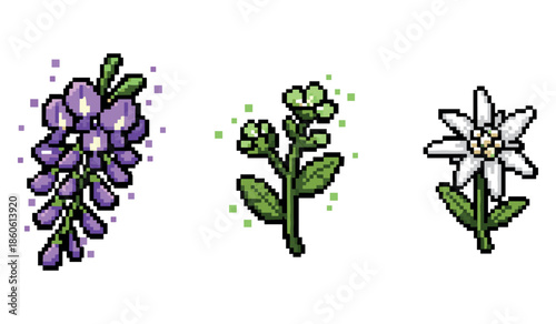 Pixel art of lupine, aloe buds, and edelweiss flowers