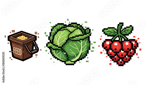 Pixel art farm items: feed bucket, cabbage, and raspberries