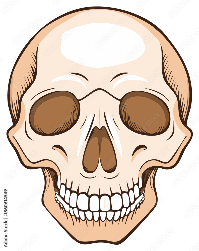 Fototapeta premium Cartoon Illustration of a Human Skull with Smiling Teeth for Halloween Design