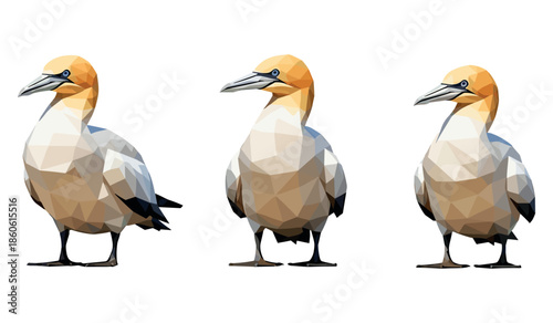 Geometric art of three gannets with orange heads and gray bodies on white background