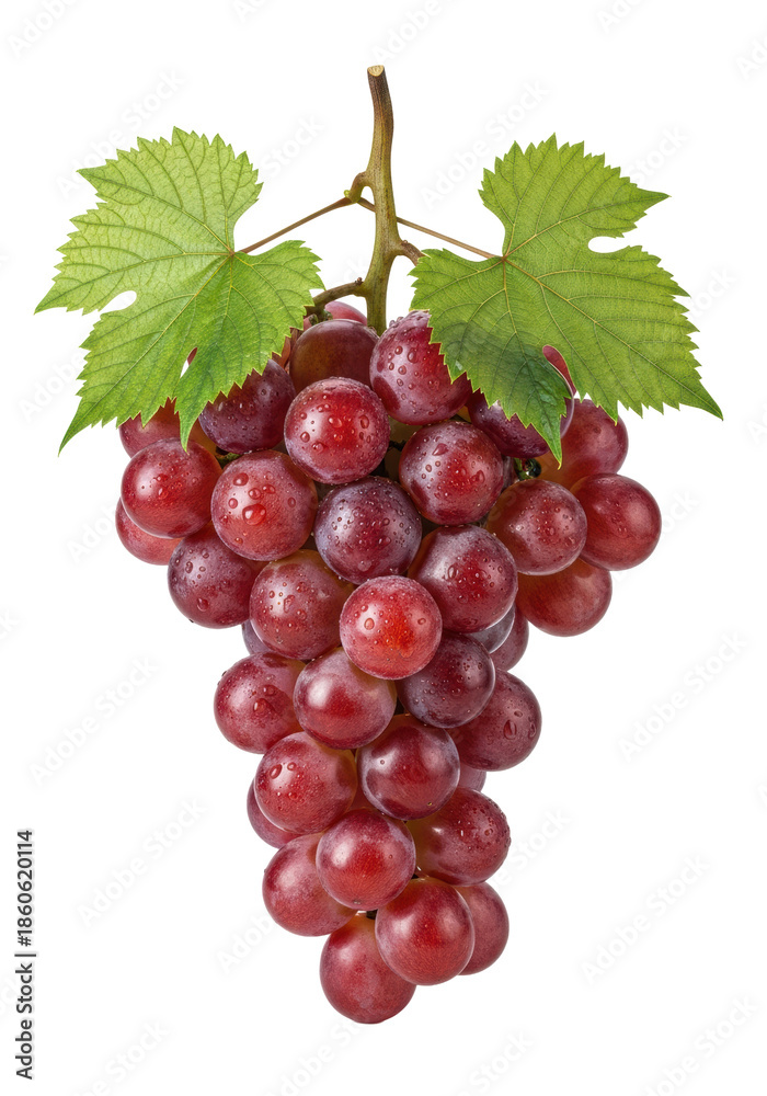 Fototapeta premium Close-up macro of fresh red table grapes (crimson seedless) with glistening dew and green leaves, perfectly isolated on a transparent infinity cove background with soft lighting. Concept of natural