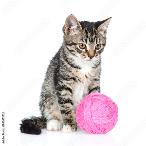 Adorable Tabby Kitten Playing with Bright Pink Yarn Ball on White Background