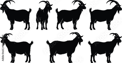 Goat silhouette collection illustration, farm animal black white vector set, livestock agriculture design elements, rural countryside animal graphics pack