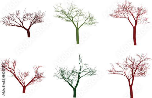 Six trees in different stages of growth and color
