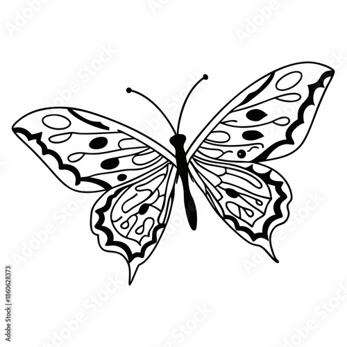 butterfly vector illustration