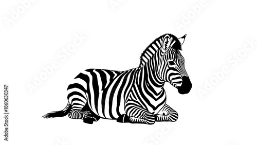 Black and white zebra laying down.