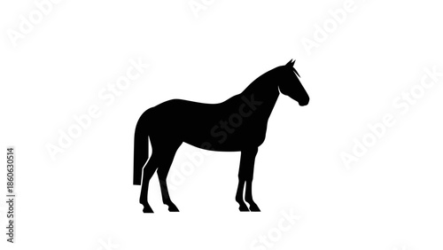 Black silhouette of a horse standing.