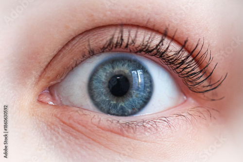 Wallpaper Mural close up of female blue eye Torontodigital.ca