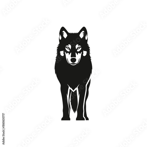 Black Wolf Dog Standing Alone Facing.