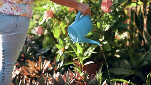 Female gardener using a blue watering can to irrigate lush green plants and pink flowers in her vibrant backyard on a bright sunny day