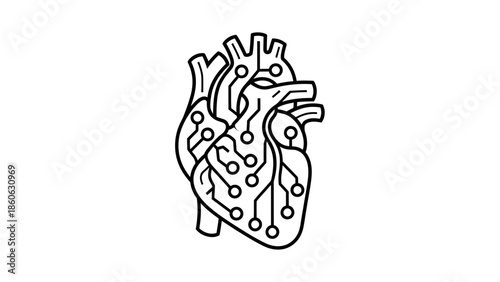 Detailed illustration of a human heart.