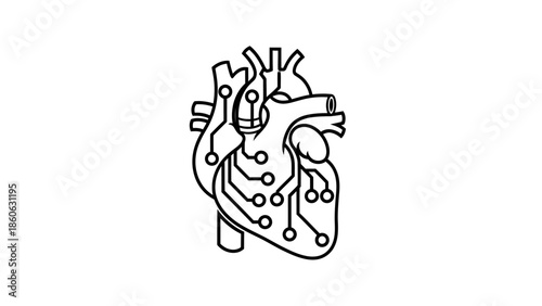 Human Heart Anatomy Medical Illustration.