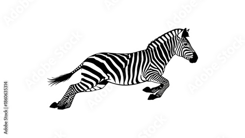 Zebra Running Fast Black White Animal.