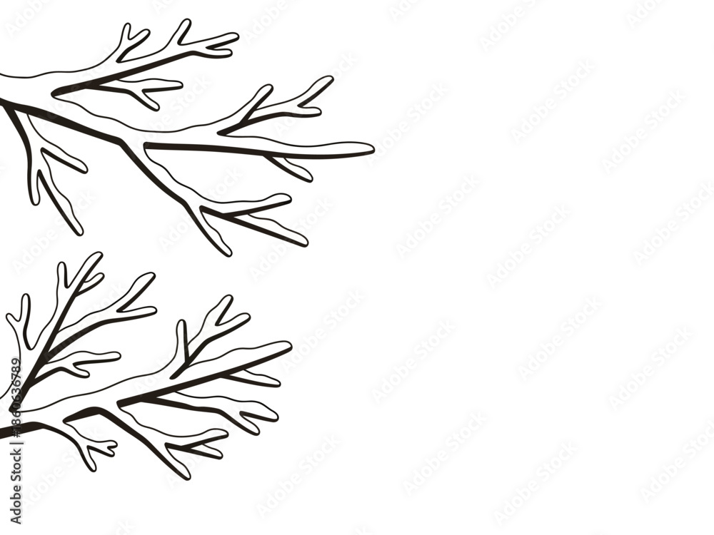 Obraz premium Black and white outline drawing of two clusters of bare tree branches