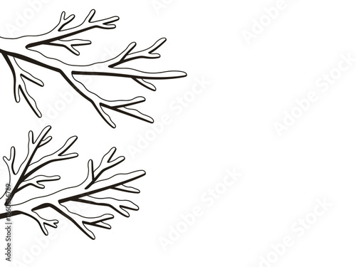 Black and white outline drawing of two clusters of bare tree branches