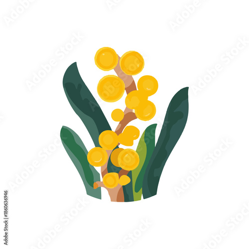 Vibrant Yellow Mimosa Flower with Green Leaves Isolated